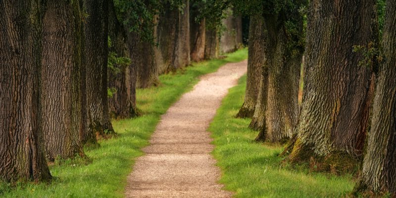 the eligibility pathway to complimentary medicine